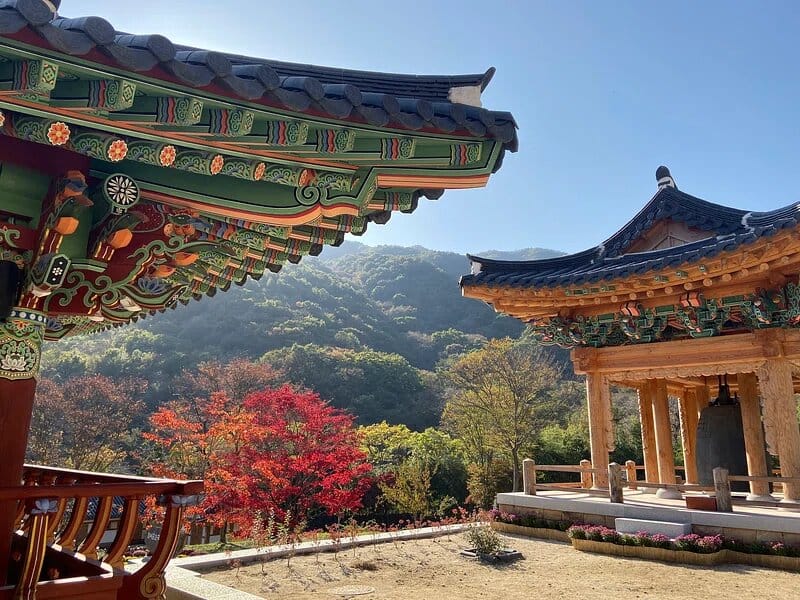 Where to eat Bibimbap in South Korea
